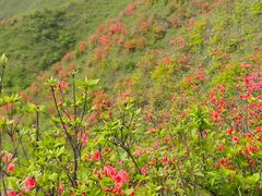 -萍乡武功山风景名胜区