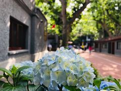 -上海孙中山故居纪念馆