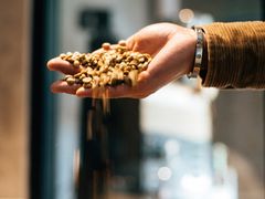 -十一咖啡(青年大街工厂店)