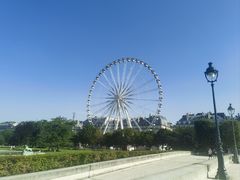 -杜乐丽花园