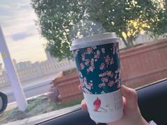 白桃乌龙牛奶-洪都大拇指(洪都店)