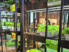 -番食园鲜食火锅(高新店)
