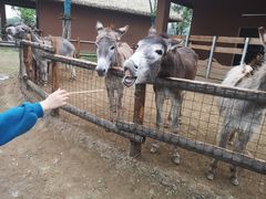 -祥源·阜阳生态乐园