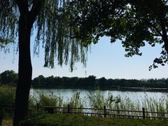 -燕郊植物园