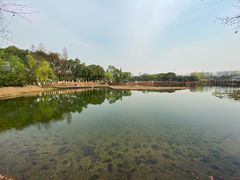 -金银湖国家城市湿地公园