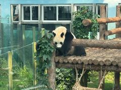 -大连森林动物园