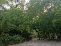 -西苑公园
