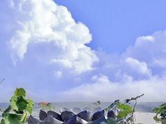-黄腾峡生态旅游区