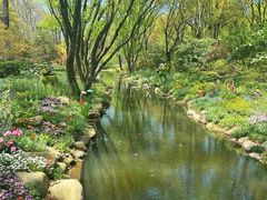 -上海共青森林公园