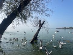 -捞渔河湿地公园