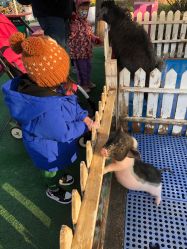 -萌宠亲子动物乐园(槐房万达店)