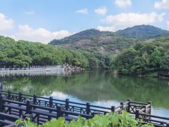 -白马涧龙池景区