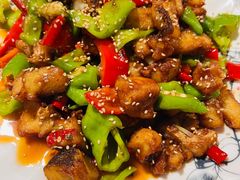-煲来饱去冷水鱼