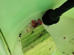 -双季花艺园艺市场(浦东店)