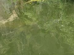 -绍兴东湖风景区