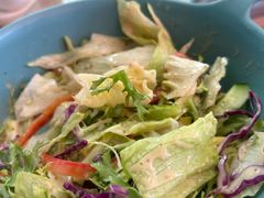 -喜上喜鸡煲翅(吉大店)