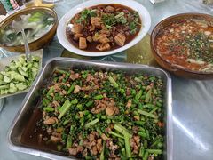 -铁山坪森林公园