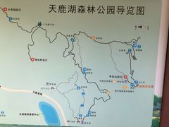 -天鹿湖森林公园