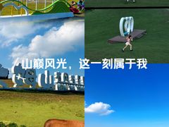 -大姆山草场