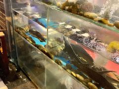 门面-长生鱼·鲜鱼房(U城店)
