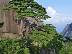 -黄山风景区