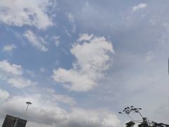 -麦当劳(电白服务区店)