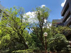 -香港大学