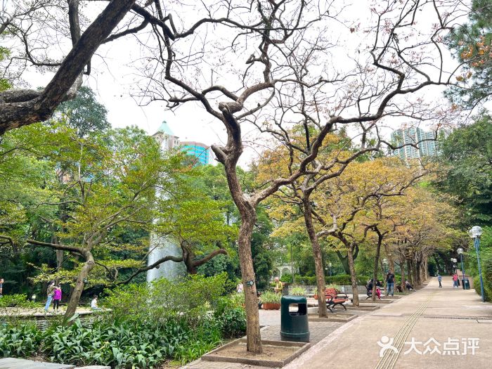 九龙公园图片