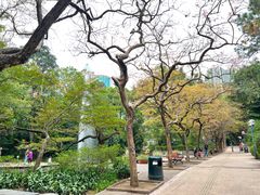 -九龙公园