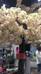 点击看大图 -简影造型·自选烫染接发salon