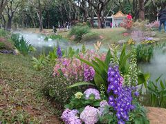 -人民公园(罗湖区)