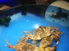 -加餐海鲜自助(宝龙一城店)