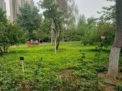 -燕郊植物园