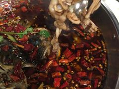 -味之绝热血美蛙鱼火锅(中坝店)