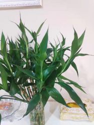 点击看大图 -Dr.林醫生产后修复·超级店(南京江宁同曦店)