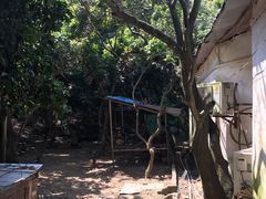 -水库河鲜村