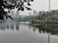 -重庆彩云湖湿地公园