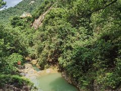 -南海湾森林生态园