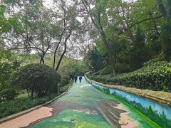 -北岭山森林公园