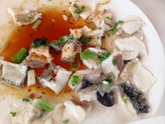 -陶缘一号·四季缘·老字号顺德菜·户外婚礼家宴(西滘店)