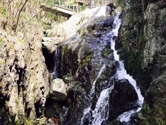-山沟沟景区