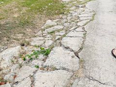 -放鸡岛生态旅游国际度假区