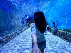 -华夏文旅西安度假区