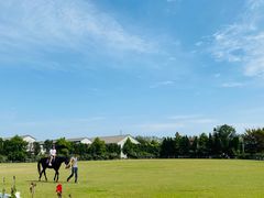 -平湖九龙山旅游度假区