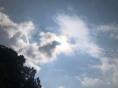 -少华山国家森林公园