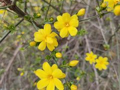 -南京市江宁方山