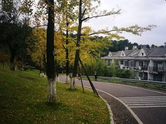 -铁山坪森林公园