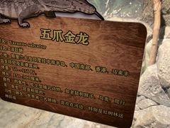-无锡动物园·太湖欢乐园