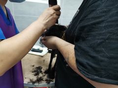 -宠福鑫康馨动物医院·骨科·眼科