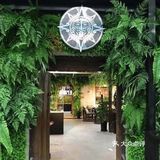 小朋友的动物乐园—北京mk魔鬼爬行动物园